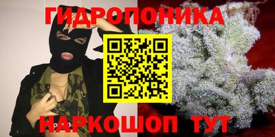 spice Севастополь