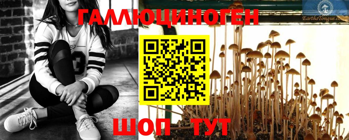 Галлюциногенные грибы ЛСД  Вход с VPN  Моздок 
