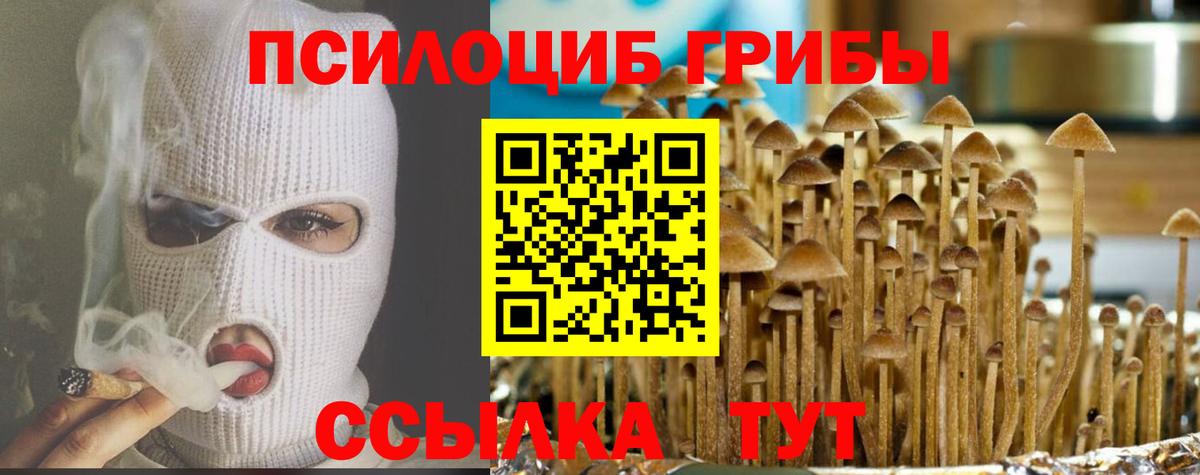 Галлюциногенные грибы мицелий Моздок